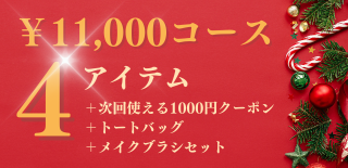 11000円コース